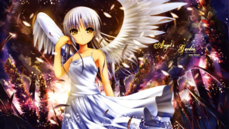 wings, Dress, Angel, Beats , Wheat, Yellow, Eyes, Tachibana, Kanade, White, Hair, Anime, Girls HD Wallpaper Desktop Background