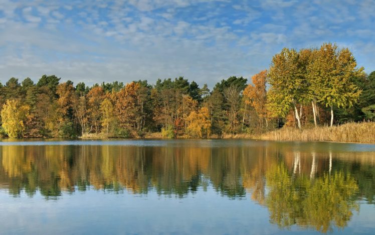 landscapes, Nature, Trees, Forests, Reflections HD Wallpaper Desktop Background