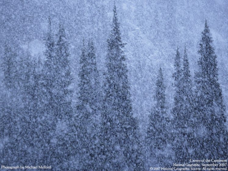 winter, Forests, National, Geographic HD Wallpaper Desktop Background