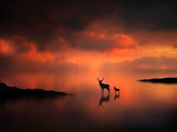 sunset, Animals, Silhouettes, Mist, Deer, Fawn HD Wallpaper Desktop Background