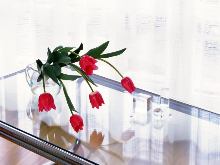 flowers, Tulips, Still, Life HD Wallpaper Desktop Background
