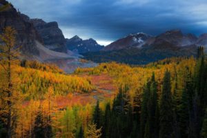 mountains, Trees, Forests, Valleys, Canada, British, Columbia, Rivers, Mount, Assiniboine, Canadian, Rockies, Park, Larch