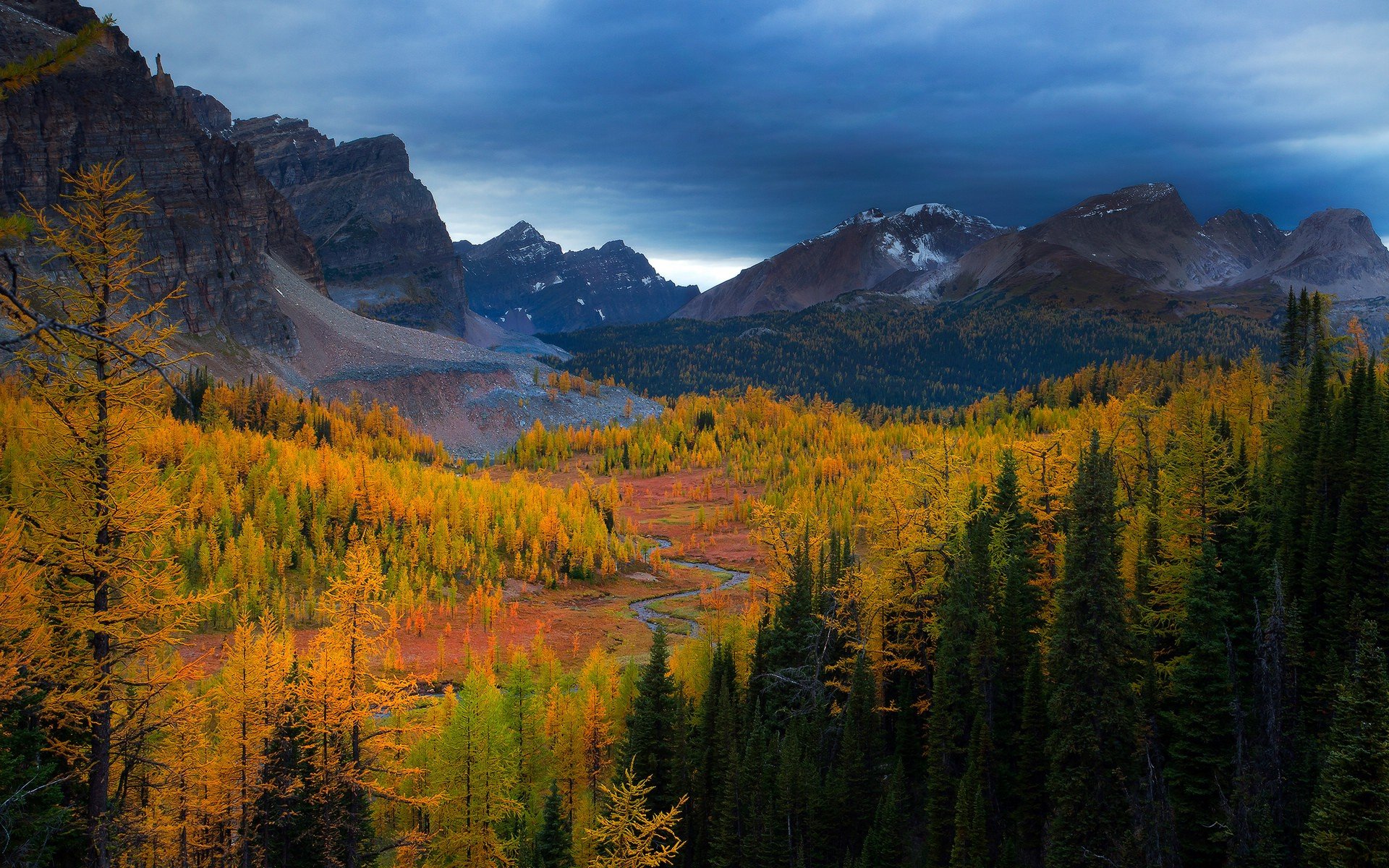 mountains, Trees, Forests, Valleys, Canada, British, Columbia, Rivers, Mount, Assiniboine, Canadian, Rockies, Park, Larch Wallpaper