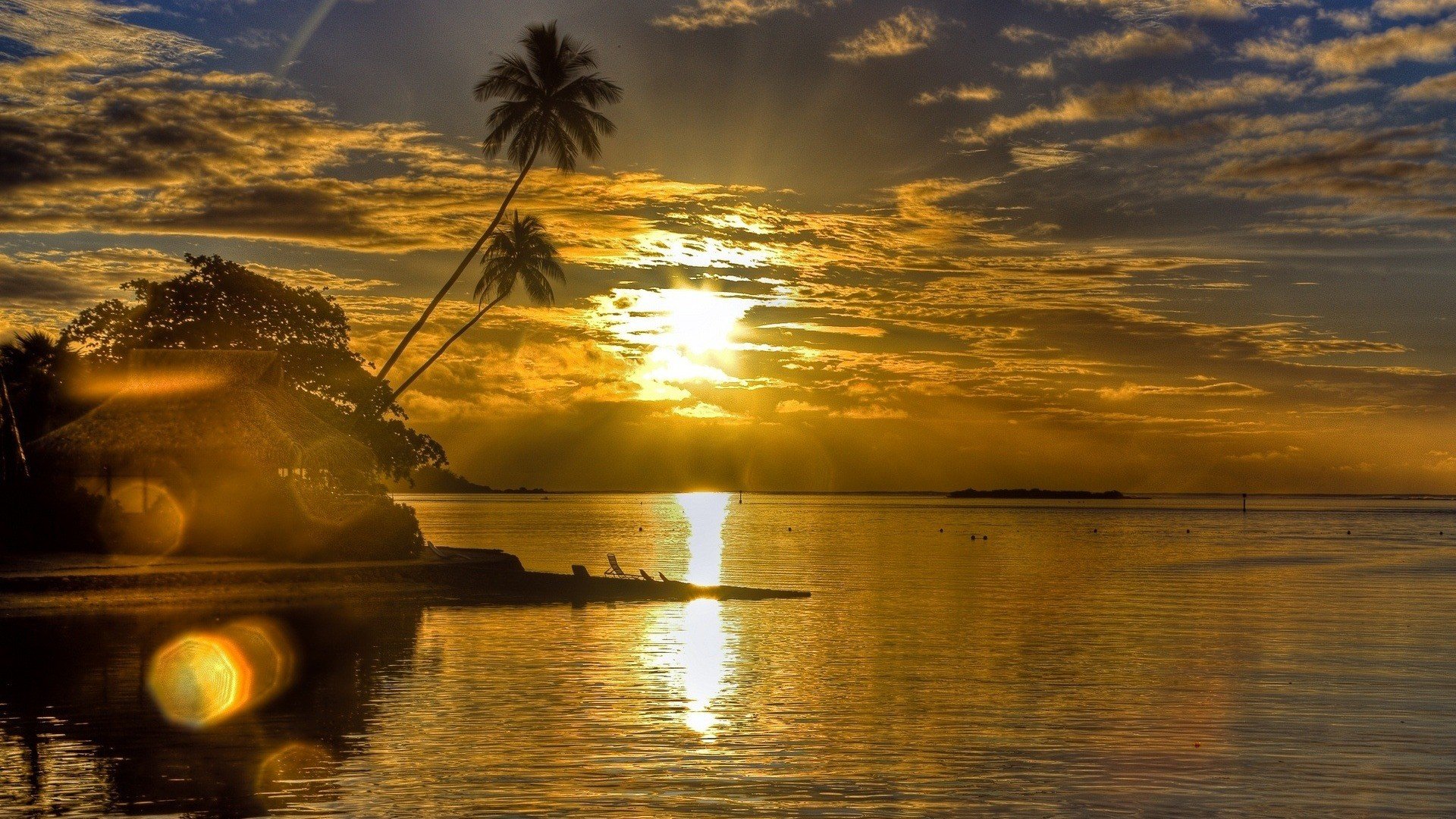 sun, Horizon, Palm, Trees Wallpaper