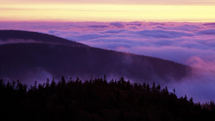 sunrise, Forests, Nash HD Wallpaper Desktop Background
