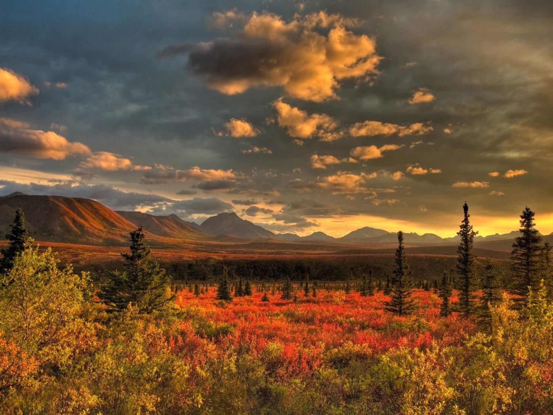 nature Wallpaper