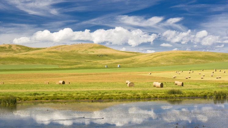 landscapes, Grass HD Wallpaper Desktop Background