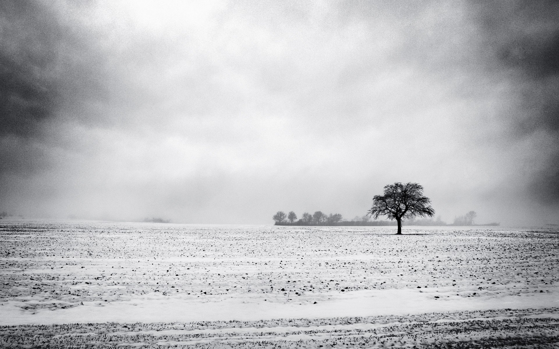 snow Wallpaper