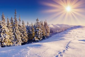 clouds, Landscapes, Snow, Trees, Sunlight, Sun, Flare
