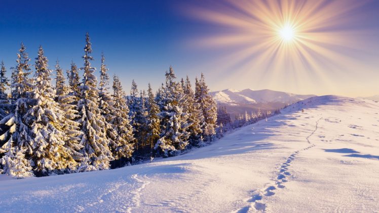 clouds, Landscapes, Snow, Trees, Sunlight, Sun, Flare HD Wallpaper Desktop Background
