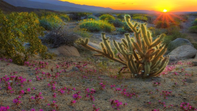 sunrise, Spring, California, Parks HD Wallpaper Desktop Background
