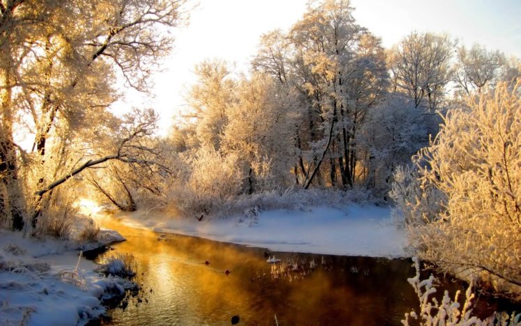 winter, Snow, Trees, Lakes HD Wallpaper Desktop Background