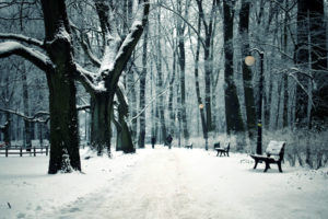 path, Trail, Winter, Snow, Trees, Forest, Bench