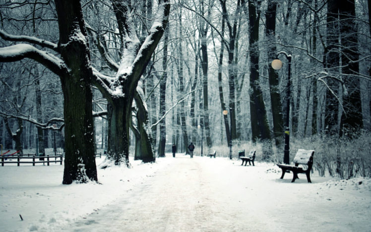 path, Trail, Winter, Snow, Trees, Forest, Bench HD Wallpaper Desktop Background