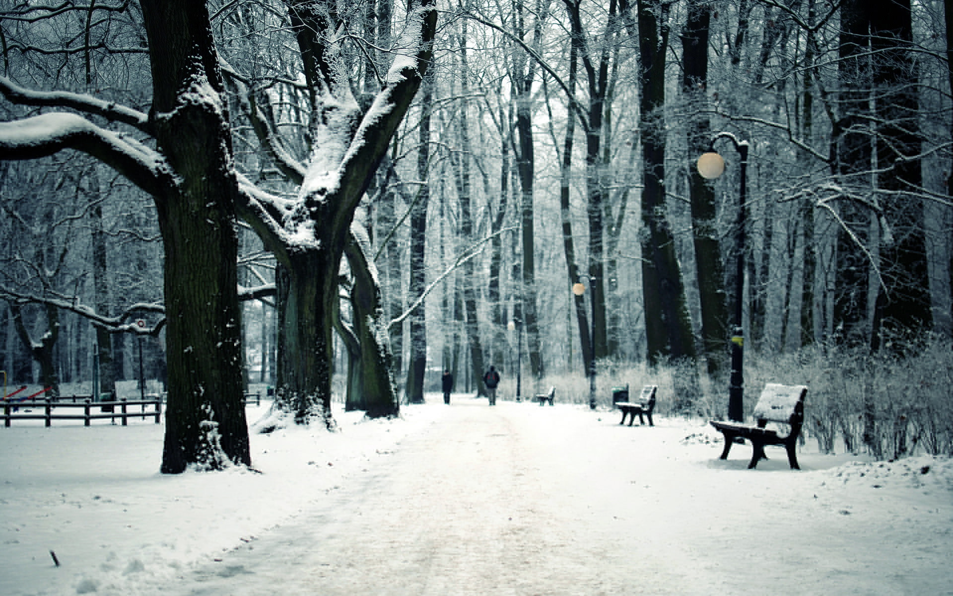 path, Trail, Winter, Snow, Trees, Forest, Bench Wallpaper