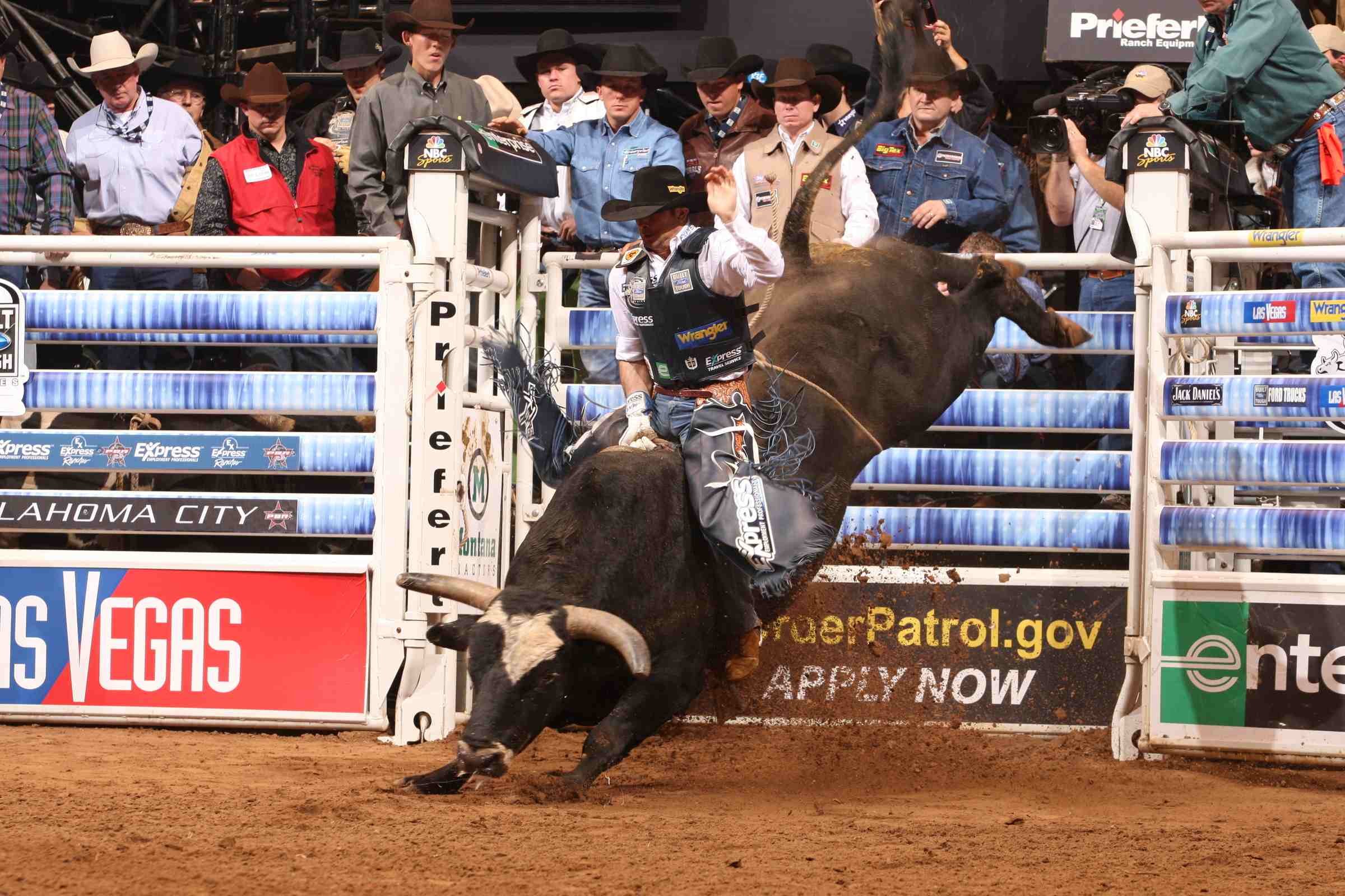 bull, Riding, Bullrider, Rodeo, Western, Cowboy, Extreme, Cow, 2 , Jpg