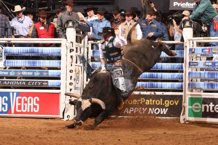 bull, Riding, Bullrider, Rodeo, Western, Cowboy, Extreme, Cow,  2 , Jpg HD Wallpaper Desktop Background