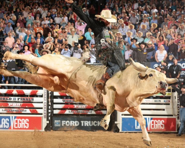 bull, Riding, Bullrider, Rodeo, Western, Cowboy, Extreme, Cow,  3 HD Wallpaper Desktop Background