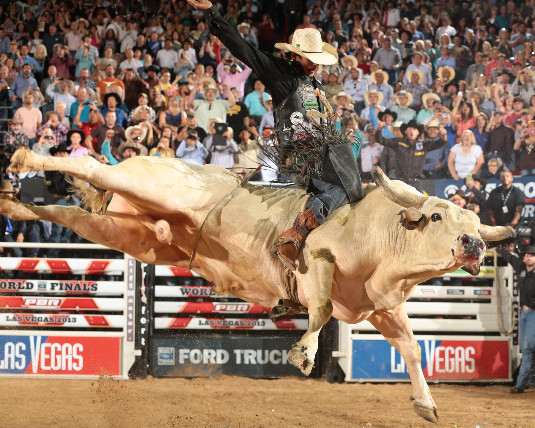 bull, Riding, Bullrider, Rodeo, Western, Cowboy, Extreme, Cow,  3 Wallpaper