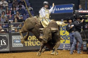 bull, Riding, Bullrider, Rodeo, Western, Cowboy, Extreme, Cow,  4