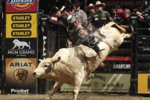 bull, Riding, Bullrider, Rodeo, Western, Cowboy, Extreme, Cow,  11 , Jpg