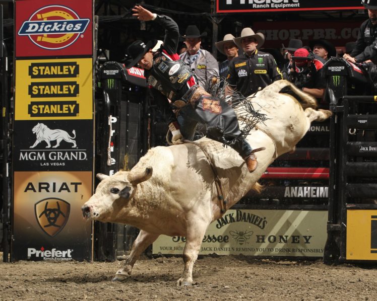 bull, Riding, Bullrider, Rodeo, Western, Cowboy, Extreme, Cow,  11 , Jpg HD Wallpaper Desktop Background