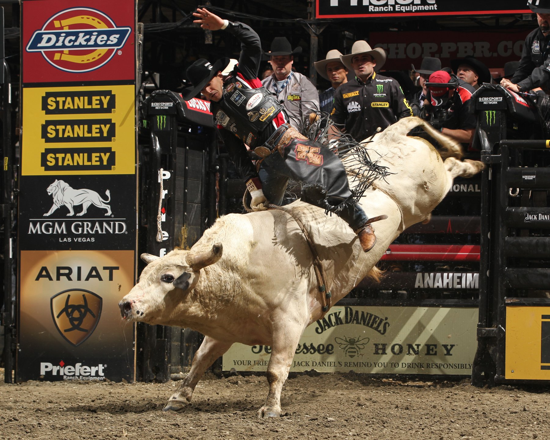 bull, Riding, Bullrider, Rodeo, Western, Cowboy, Extreme, Cow,  11 , Jpg Wallpaper