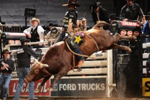 bull, Riding, Bullrider, Rodeo, Western, Cowboy, Extreme, Cow,  14 , Jpg