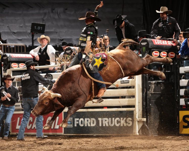 bull, Riding, Bullrider, Rodeo, Western, Cowboy, Extreme, Cow,  14 , Jpg HD Wallpaper Desktop Background