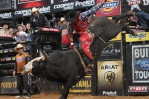 bull, Riding, Bullrider, Rodeo, Western, Cowboy, Extreme, Cow,  13 , Jpg