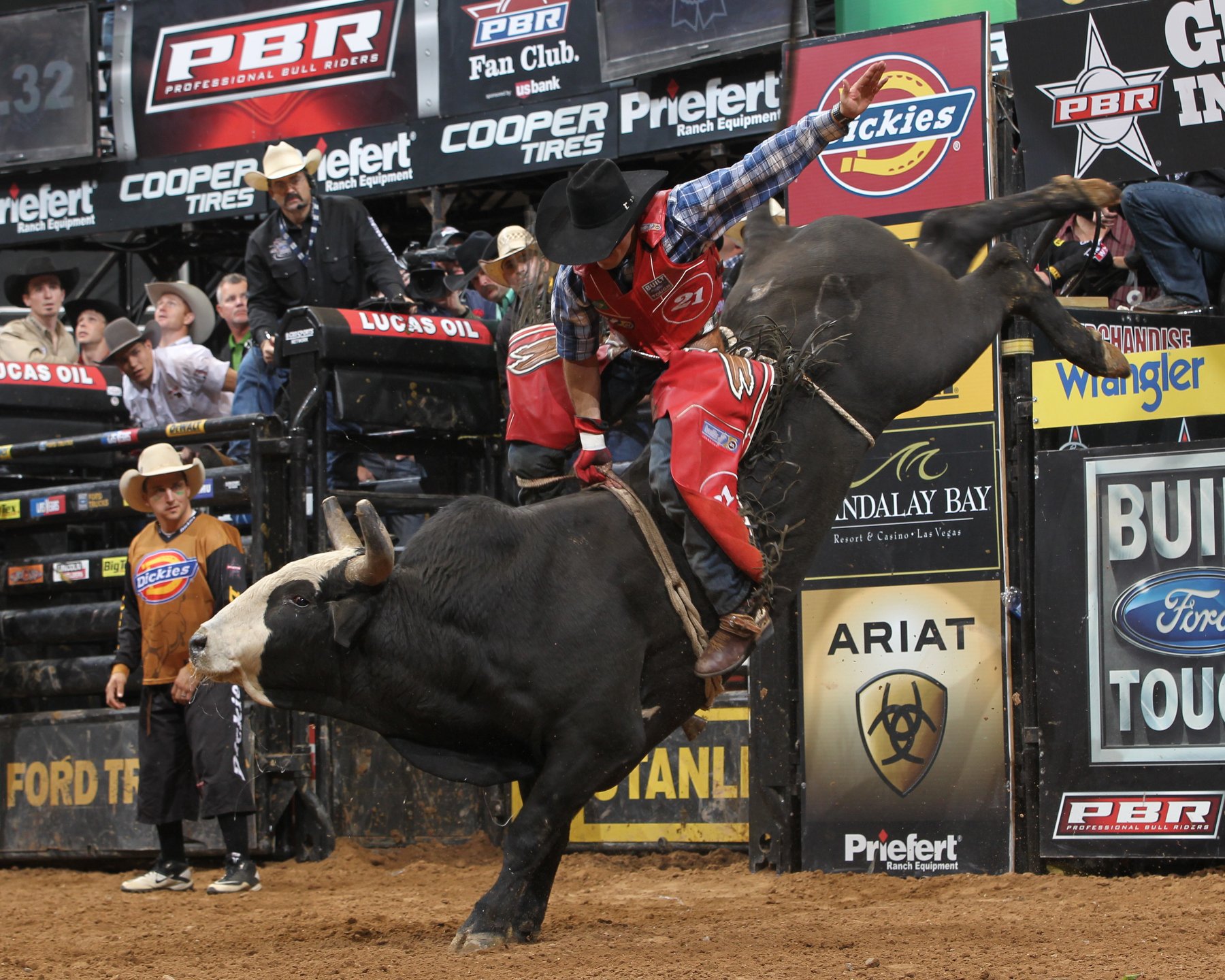bull, Riding, Bullrider, Rodeo, Western, Cowboy, Extreme, Cow,  13 , Jpg Wallpaper