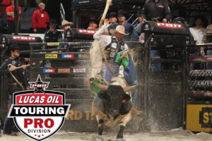 bull, Riding, Bullrider, Rodeo, Western, Cowboy, Extreme, Cow,  15