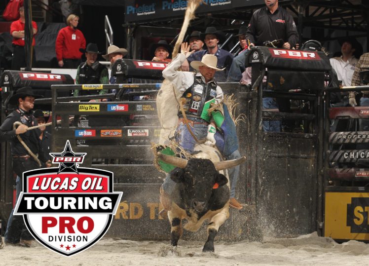 bull, Riding, Bullrider, Rodeo, Western, Cowboy, Extreme, Cow,  15 HD Wallpaper Desktop Background