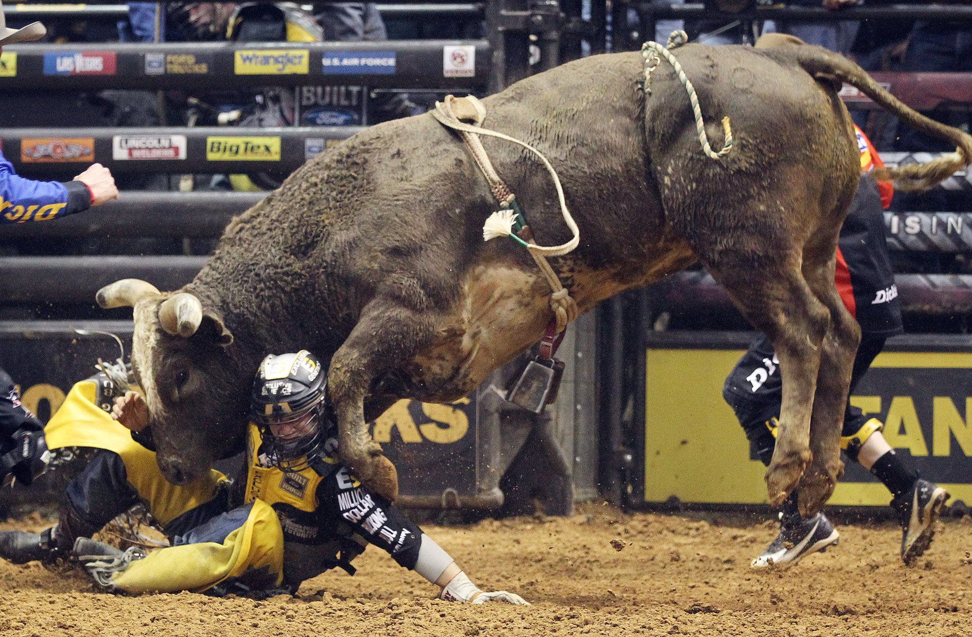 bull, Riding, Bullrider, Rodeo, Western, Cowboy, Extreme, Cow,  18 Wallpaper