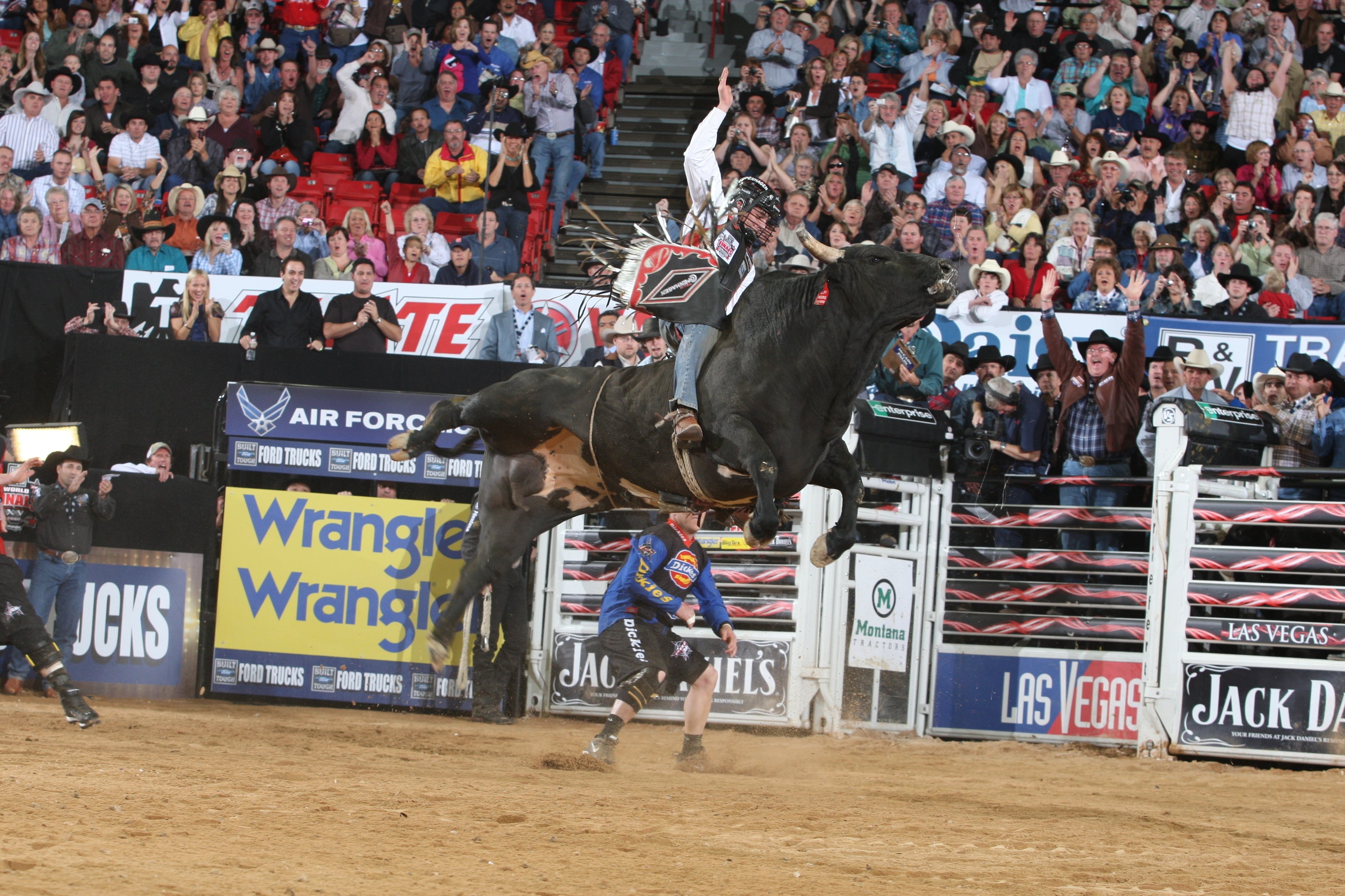 bull, Riding, Bullrider, Rodeo, Western, Cowboy, Extreme, Cow,  19 , Jpg Wallpaper