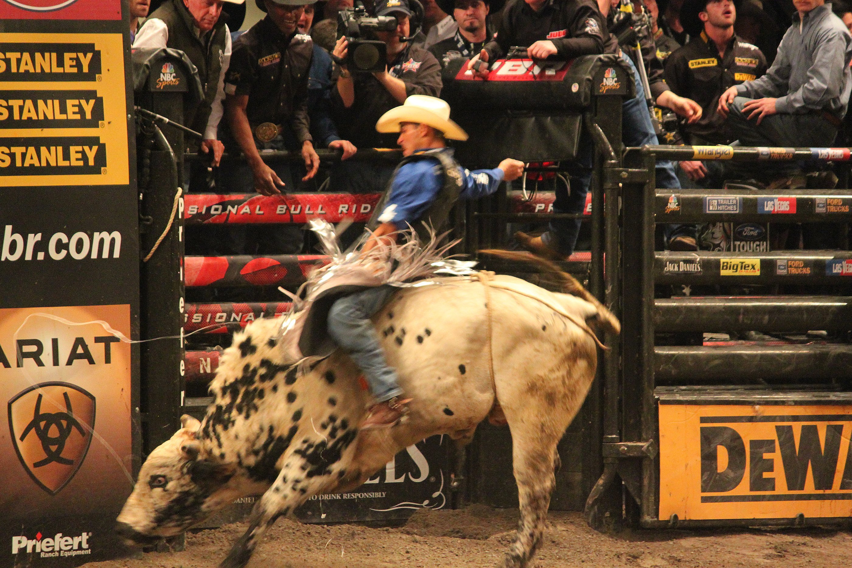bull, Riding, Bullrider, Rodeo, Western, Cowboy, Extreme, Cow,  23 Wallpaper