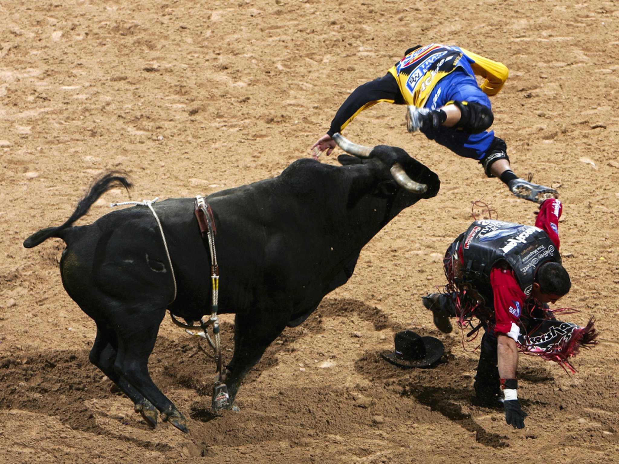 bull, Riding, Bullrider, Rodeo, Western, Cowboy, Extreme, Cow,  22 Wallpaper