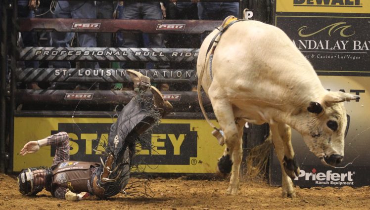 bull, Riding, Bullrider, Rodeo, Western, Cowboy, Extreme, Cow,  29 HD Wallpaper Desktop Background