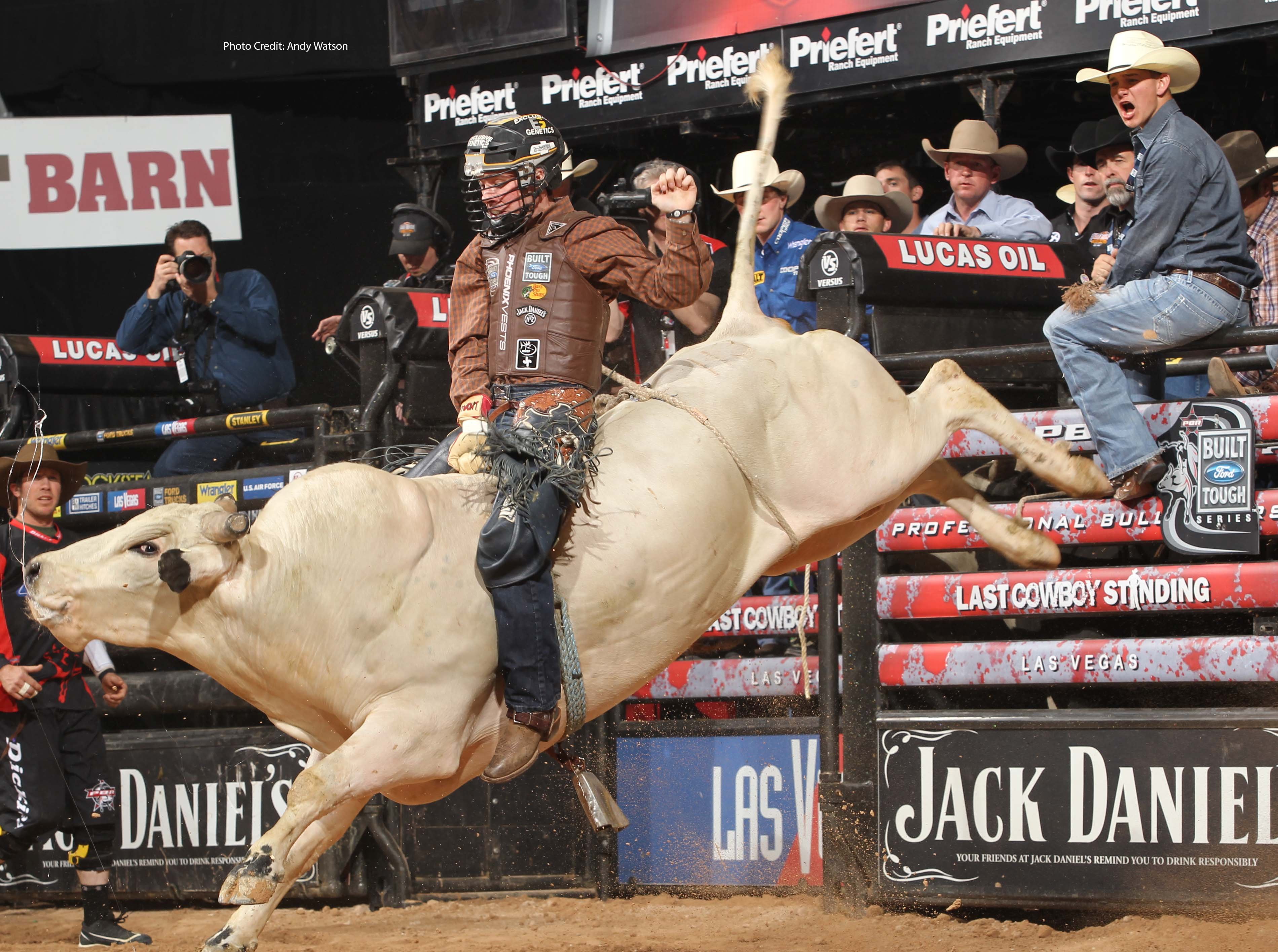 bull, Riding, Bullrider, Rodeo, Western, Cowboy, Extreme, Cow,  28 Wallpaper