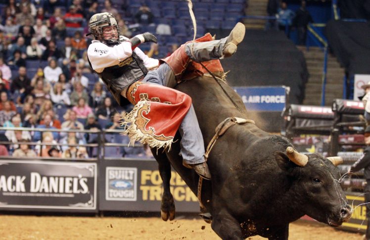 bull, Riding, Bullrider, Rodeo, Western, Cowboy, Extreme, Cow,  30 HD Wallpaper Desktop Background