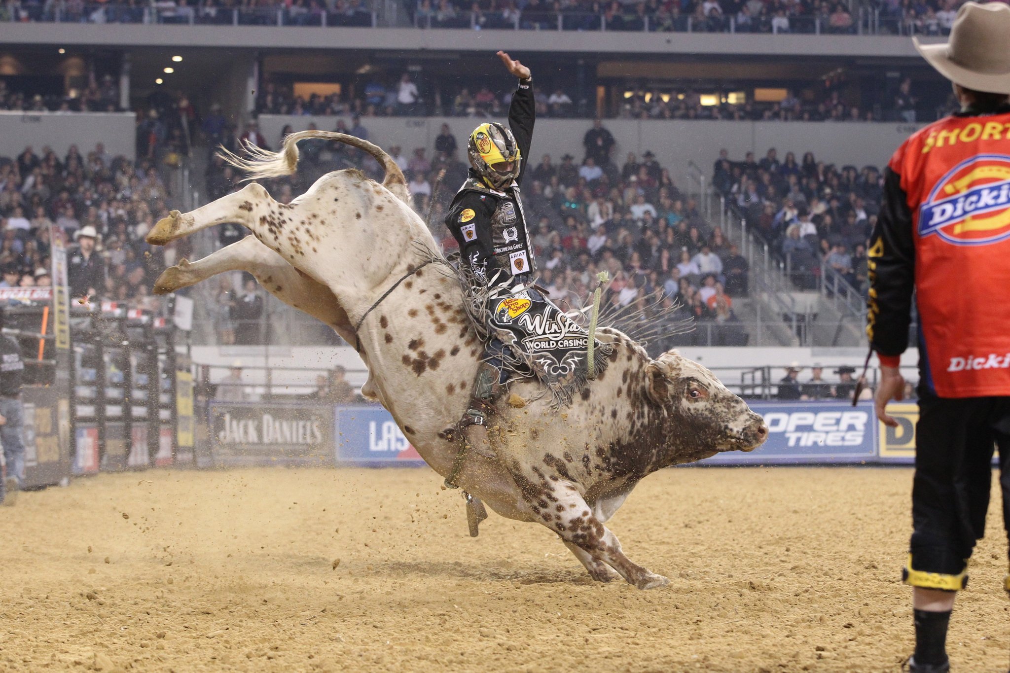 bull, Riding, Bullrider, Rodeo, Western
