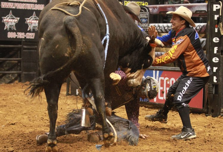 bull, Riding, Bullrider, Rodeo, Western, Cowboy, Extreme, Cow,  34 HD Wallpaper Desktop Background