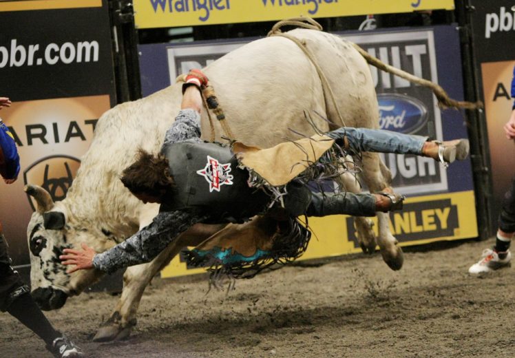 bull, Riding, Bullrider, Rodeo, Western, Cowboy, Extreme, Cow,  38 HD Wallpaper Desktop Background