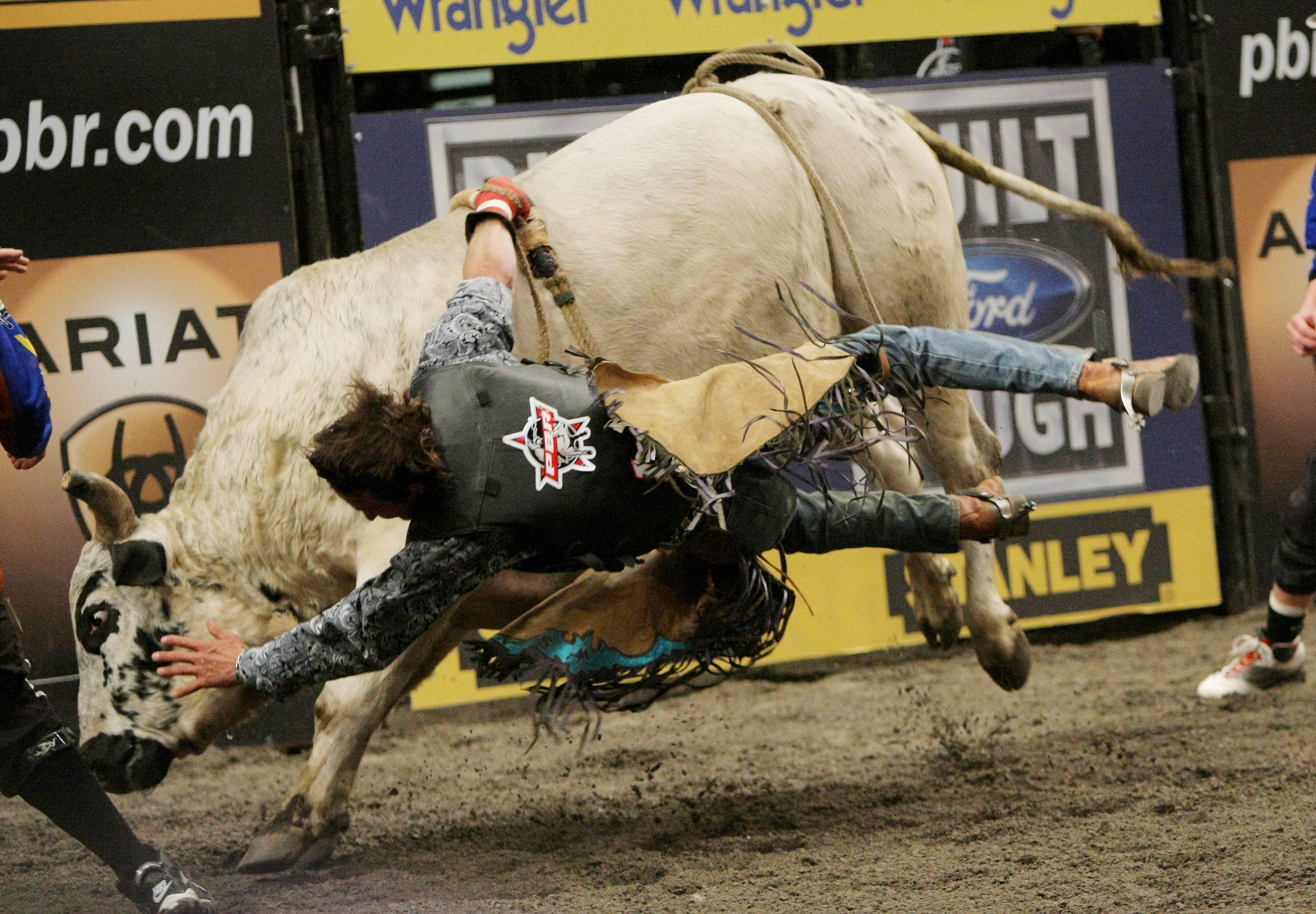 bull, Riding, Bullrider, Rodeo, Western, Cowboy, Extreme, Cow,  38 Wallpaper