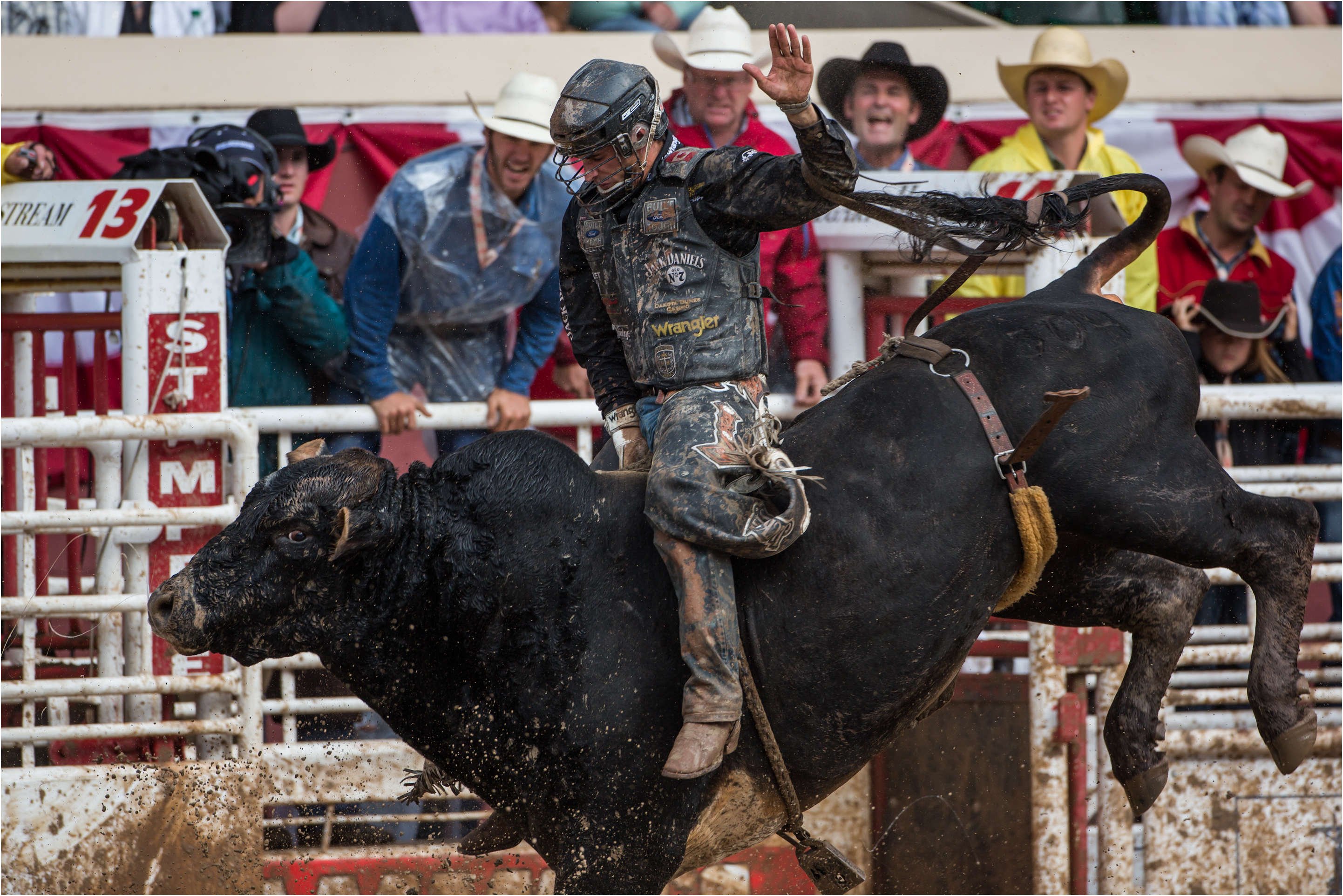 bull, Riding, Bullrider, Rodeo, Western, Cowboy, Extreme, Cow,  37 Wallpaper
