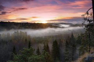 sunrise, Landscapes, Nature, Trees, Forests, Fog, National, Park