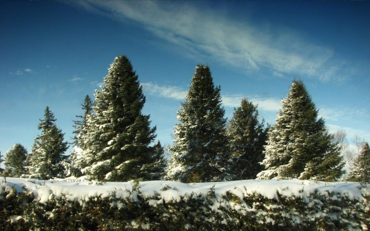 winter, Sky, Landscapes HD Wallpaper Desktop Background