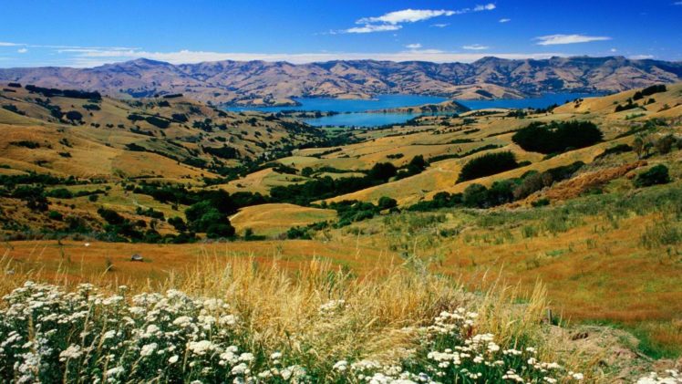 new, Zealand, Countryside HD Wallpaper Desktop Background