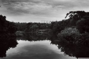 black, And, White, Landscapes, Nature, Rivers