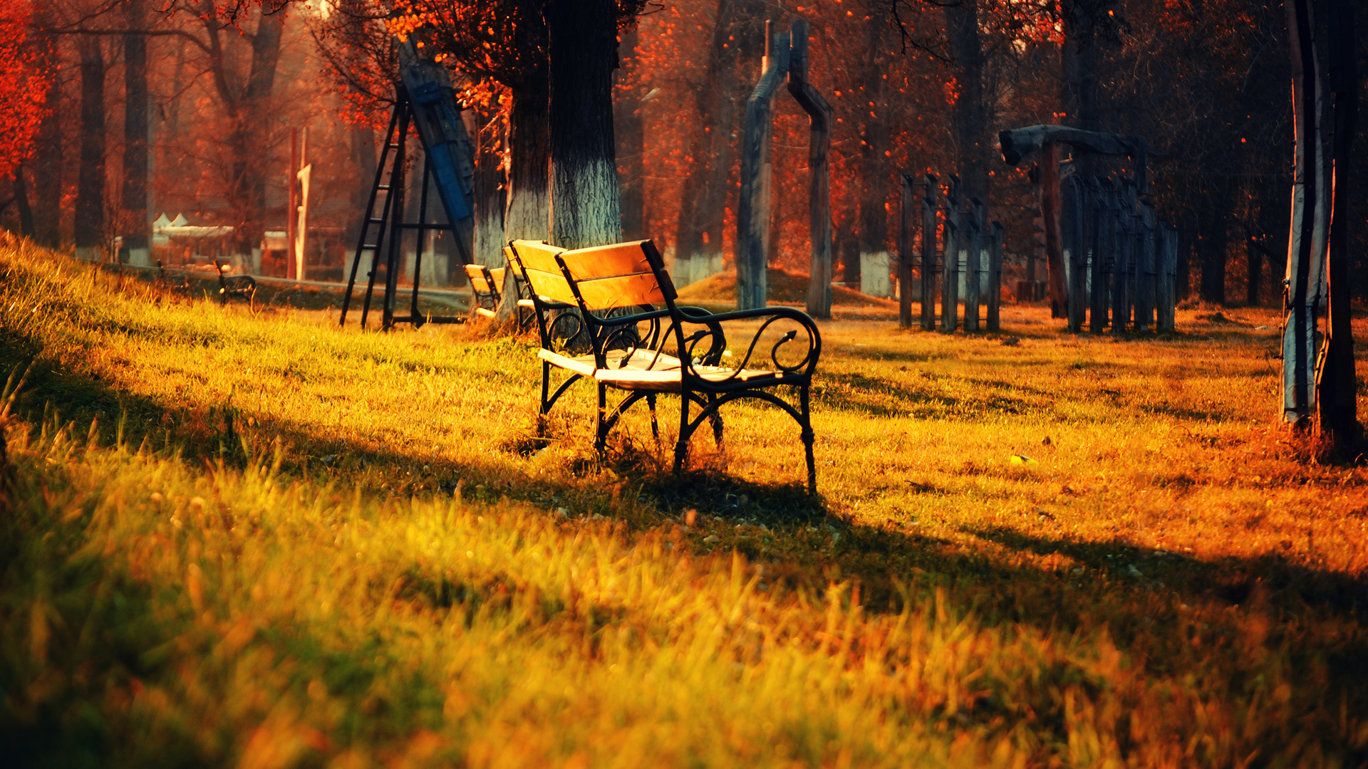 bench, Park, Trees, Sunset, Sunrise Wallpaper